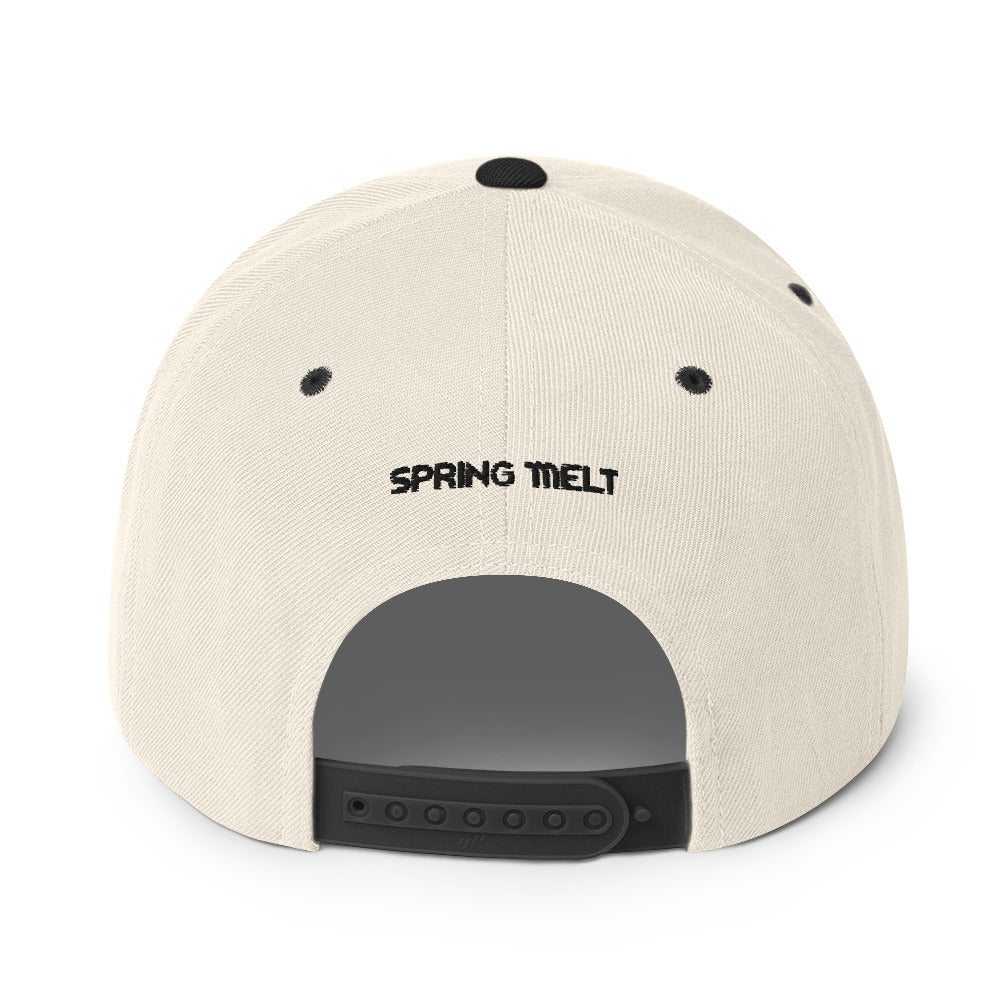 Logo Snapback Hat