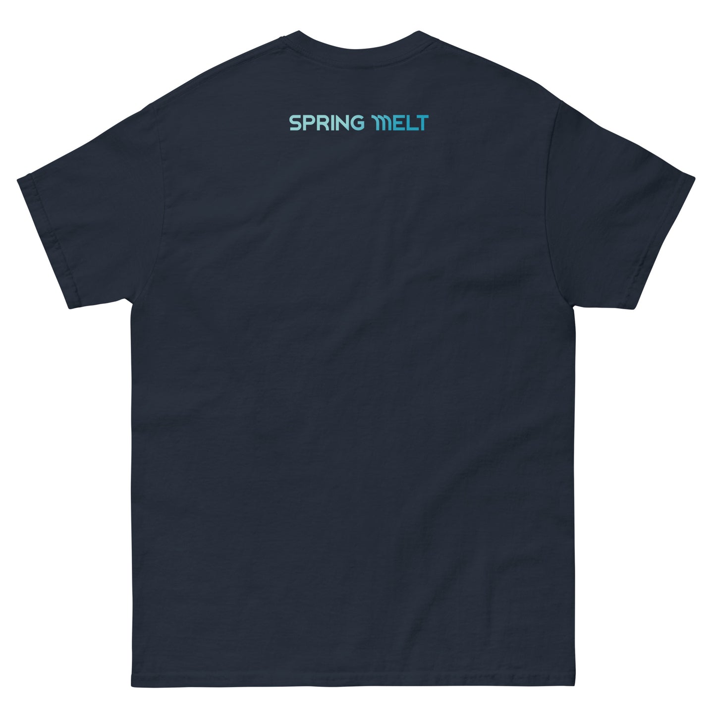 Chasing The Flow & Spring Melt collab Logo T-Shirt - Navy/Aqua