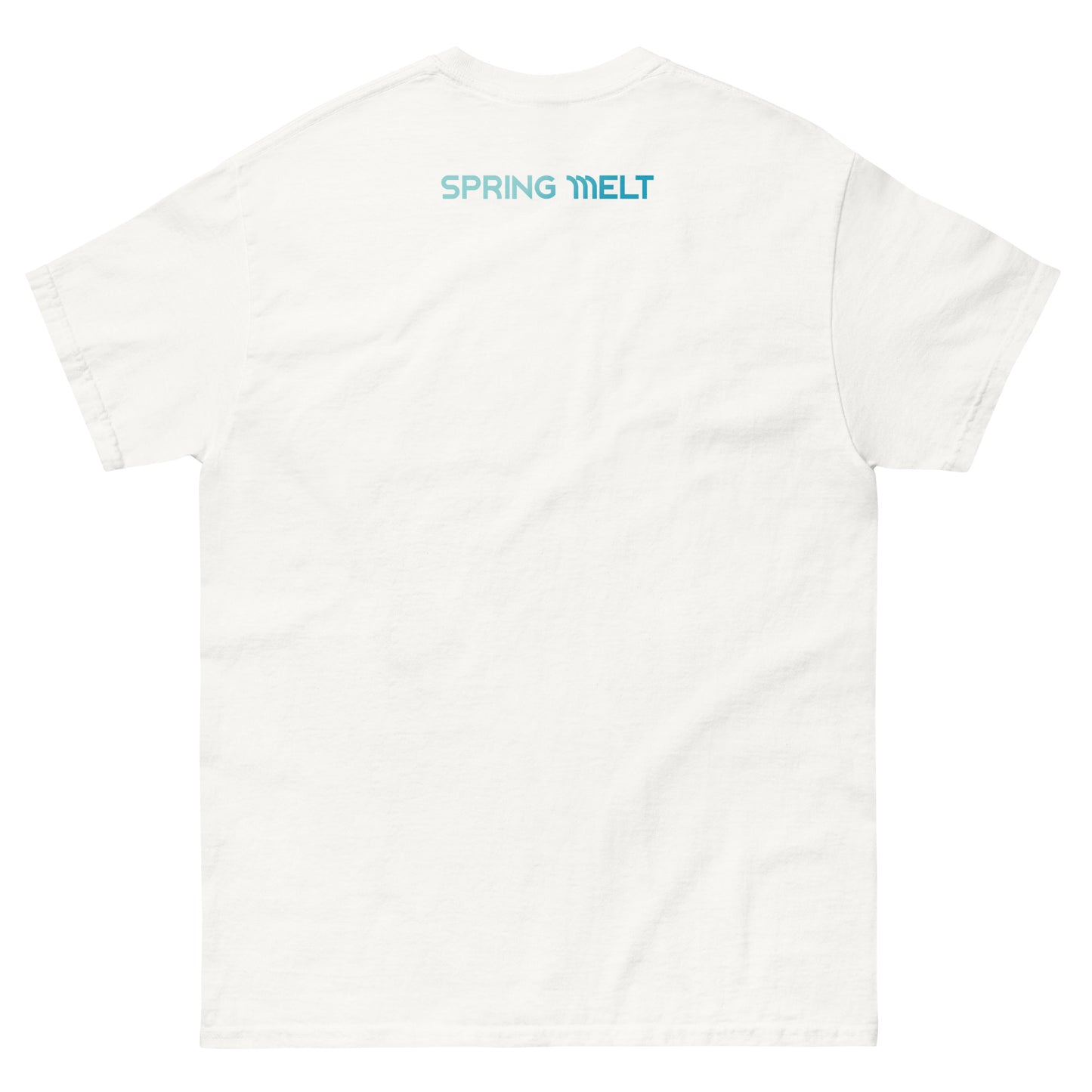 Chasing The Flow & Spring Melt collab Logo T-Shirt - White/Aqua